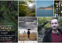 Le sensazioni del bosco in mostra a Mentone: David Tinius Rossi tra i 100 fotografi scelti per il PhotoMenton david tinius rossi mostra mentone