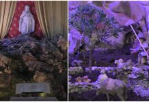 Il tradizionale giro dei Presepi di Imperia passa dalla Chiese principali: le maestose Natività del Duomo e di San Giovanni