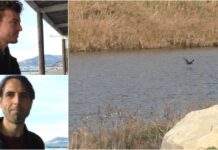 NovitĂ all’Oasi del Nervia: gli aggiornamenti dell’ornitologo Valfiorito e di Giuseppe Palmero. “Presto una sezione locale del WWF” oasi del nervia