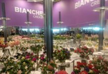 Biancheri Creazioni vola in Germania per la fiera internazionale IPM ESSEN biancheri creazioni