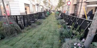 Sanremo 2023, torna il Green Carpet con erba e bonsai. Lunedì 6 la sfilata degli artisti