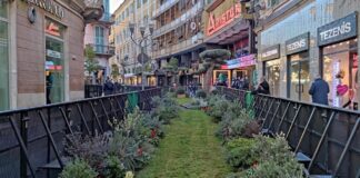 “Green Carpet”, Silvio Bregliano (Federfiori): “Anche grazie all’impegno di Scognamiglio i fiori e le piante di Sanremo tornano ad essere protagoniste del Festival” green carpet sanremo
