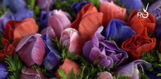 Sanremo 2023, il Mercato dei Fiori addobba la sala conferenze del Festival fiori