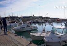 Arma di Taggia, approvato il progetto per il rifacimento del pontile galleggiante della Darsena darsena arma di taggia