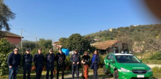 Gli alberi di Natale dei commercianti del Golfo Dianese trovano dimora nell’entroterra grazie alla collaborazione dei Carabinieri Forestali