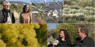 L’antico sentiero del Beodo non delude mai, profumi e colori senza tempo sentiero beodo bordighera