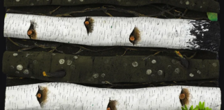 Diano Marina, dal 18 marzo al Palazzo del Parco la mostra “Facoltà plastiche”