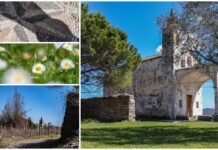 Un Santuario in mezzo al prato: la Madonna del Piano di Tavole