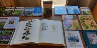 Diano Marina: la biblioteca civica Angiolo Silvio Novaro partecipa alla decima edizione di Aromatica Biblioteca Diano Marina su Aromatica