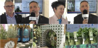 Diano Marina, ad Aromatica l’anteprima del 30esimo Premio Vermentino: le interviste a Marco Risso ed Eliana Maffone vermentino aromatica