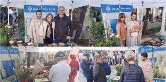 Diano Marina, Aromatica: oltre 200 visitatori sabato presso lo stand del Museo Civico del Lucus Bormani museo civico diano marina ad aromatica