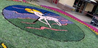 Diano Marina: torna domenica 11 giugno la tradizionale Infiorata del Corpus Domini Infiorata Corpus Domini (2)