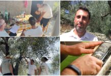 Turismo, approda in Provincia di Imperia “Experience”: l’olivicoltore Andrea Baldizzone ci spiega di cosa si tratta Azienda Agricola Baldizzoni