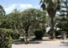 Bordighera omaggia Fabrizio De André: domani ai giardini Lowe lo spettacolo “Creuza… de Mà” giardini lowe bordighera
