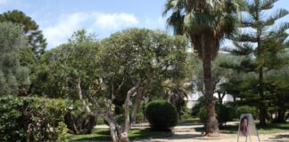 Bordighera, “Cinema in Giardino”: “Il grande giorno” in scena ai giardini Lowe il 17 agosto giardini lowe bordighera