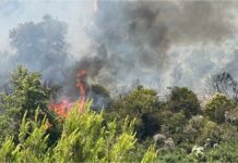 Incendi: spento il rogo di Olivetta San Michele