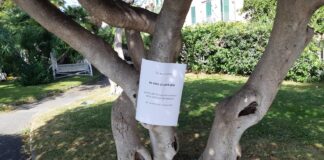 Nuovo atto di protesta a Bordighera contro i lavori di restyling della passeggiata a mare