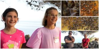 “La bambina che danza con le api”: l’avventura delle piccole Nicole e Sofia diventerà un grande documentario alla scoperta di api e apicoltori da tutto il mondo documentario api bambine