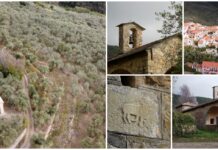 Immersa nel mare di ulivi: la chiesa benedettina di San Lorenzo a Chiusanico