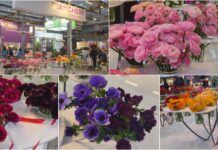 Biancheri Creazioni trionfa alla Fiera Internazionale di Floricoltura con eleganti novitĂ  floreali biancheri creazioni