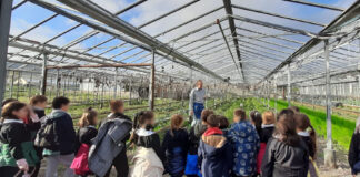 Diano Marina: concluso il progetto “Giornata della semina” dell’Istituto Comprensivo