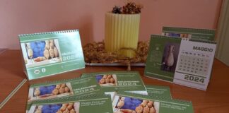 Museo Civico del Lucus Bormani: disponibili i nuovi calendari 2024