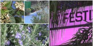 Sanremo 2024, in corso la posa dei fiori e l’allestimento del ‘Green Carpet’ di fronte al Teatro Ariston green carpet