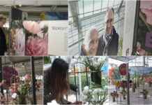 Le ‘pagine fiorite’ della mostra Biblìon del designer Olivieri impreziosiscono il ‘Porte Aperte 2024’ della Biancheri Creazioni Bilbion Olivieri Porte Aperte