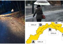 Albero cade sulla Provinciale 55 che collega Bajardo e Ceriana: subito rimosso. Ma il maltempo comincia a fare paura