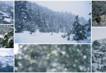 E finalmente neve fu! L’alta valle Argentina imbiancata neve alta valle argentina