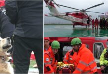 Imperia, come prepararsi ad una emergenza? La spettacolare esercitazione col ‘Drago’, le unitĂ  cinofile dei Vigili del Fuoco e unitĂ  di soccorso