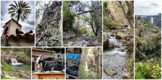 Sulle orme degli Impressionisti: tra gli infiniti paesaggi del sentiero del Beodo di Bordighera sentiero del beodo bordighera