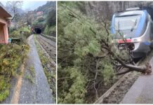 Airole: albero cade sulla ferrovia ma sindaco e volontari sgomberano immediatamente l’area