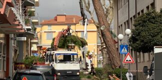 Diano Marina saluta il pino di via Bianchieri: troppo pericoloso, valori di inclinazione in continuo aumento