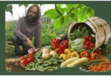 “Come rigenerare i nostri terreni nel rispetto della natura”: l’incontro formativo sull’agricoltura a Ventimiglia