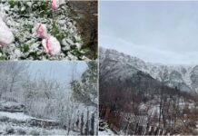 La neve imbianca Verdeggia!