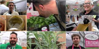 Aromatica 2024: parola agli espositori della grande rassegna di Diano Marina Espositori Aromatica