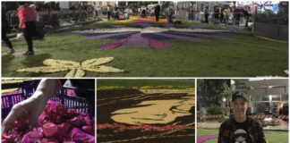 La lunga notte del Corpus Domini: il “making of” dell’Infiorata di Diano Marina dal tramonto all’alba