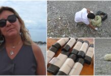 A Ventimiglia la tutela dell’ambiente coinvolge anche le scuole: mattinata di pulizia delle spiagge per gli studenti dell’imperiese giornata ambiente ventimiglia