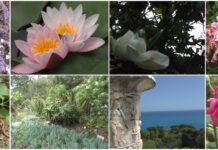 I Giardini Hanbury: dove botanica e cultura abbracciano il mare di Ventimiglia Giardini Hanbury Ventimiglia