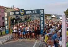 Sanremo, record di iscritti alla Run for the Whales 2024: al via domani le gare Run for the Whales