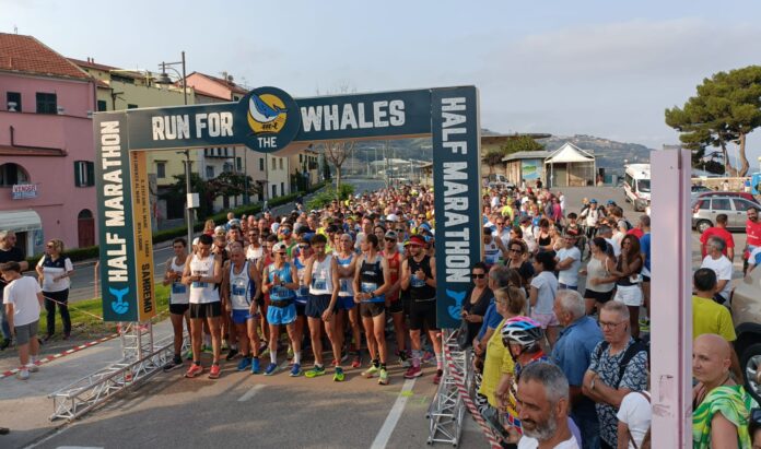 Run for the Whales