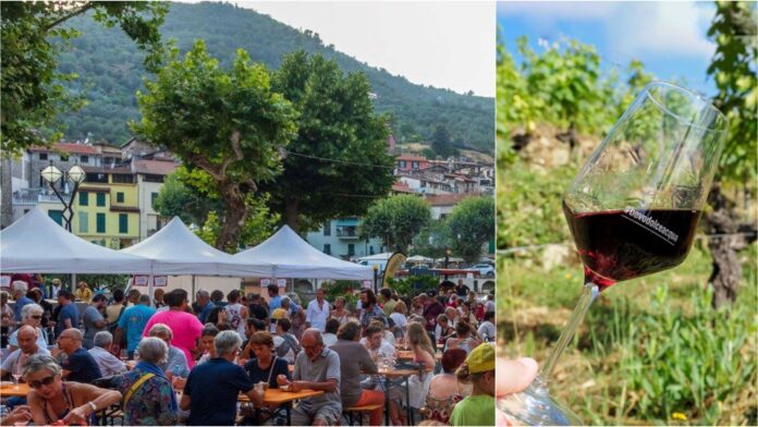 rossese dolceacqua