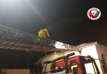 Caramagna: rimosso nido di vespe velutine dal tetto di un’abitazione grazie all’intervento congiunto di Protezione Civile e Vigili del Fuoco