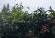 Meteo Liguria, rovesci in arrivo: attesi temporali e possibili grandinate pioggia maltempo
