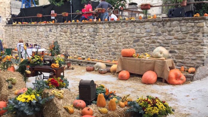 festa della zucca