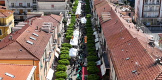 Aromatica 2025: come arrivare a Diano Marina nei giorni dell’evento aromatica diano marina