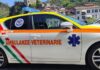 Ventimiglia, Ambulanze Veterinarie: “Ancora in attesa della convenzione comprensoriale con i Comuni del distretto intemelio” Ambulanze veterinarie