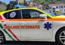 Ventimiglia, Ambulanze Veterinarie: “Ancora in attesa della convenzione comprensoriale con i Comuni del distretto intemelio” Ambulanze veterinarie