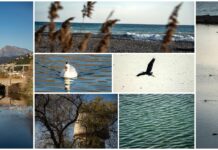 Il quieto autunno dell’Oasi del Nervia